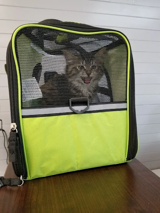 Avenue Veterinary Clinic Picture 9