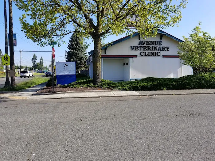 Avenue Veterinary Clinic Picture 1