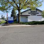Avenue Veterinary Clinic