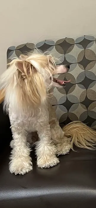 Warner West Pet Clinic Picture 2