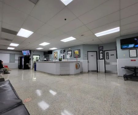Orange County Emergency Pet Clinic