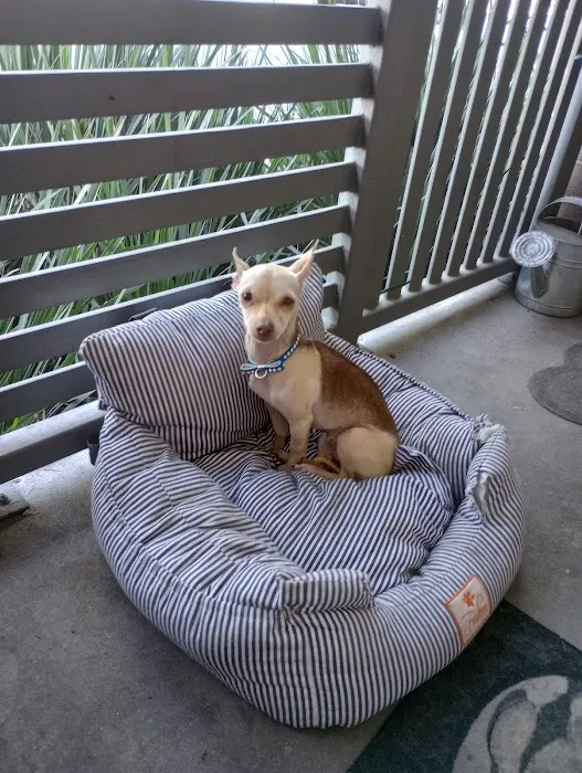 Orange County Emergency Pet Clinic Picture 4