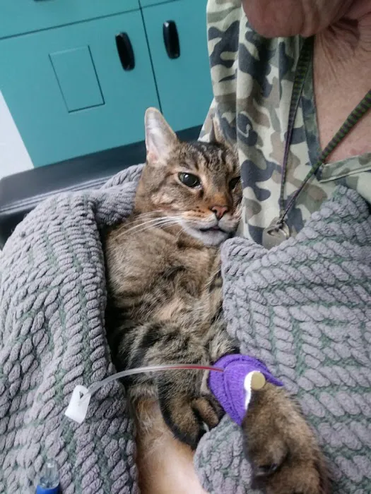 Orange County Emergency Pet Clinic Picture 2