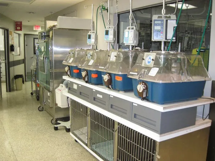 Orange County Emergency Pet Clinic Picture 7