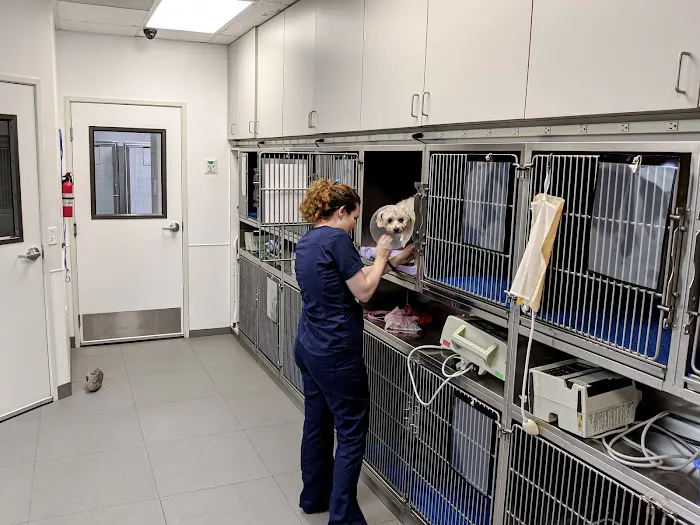 Alona Animal Hospital Picture 5