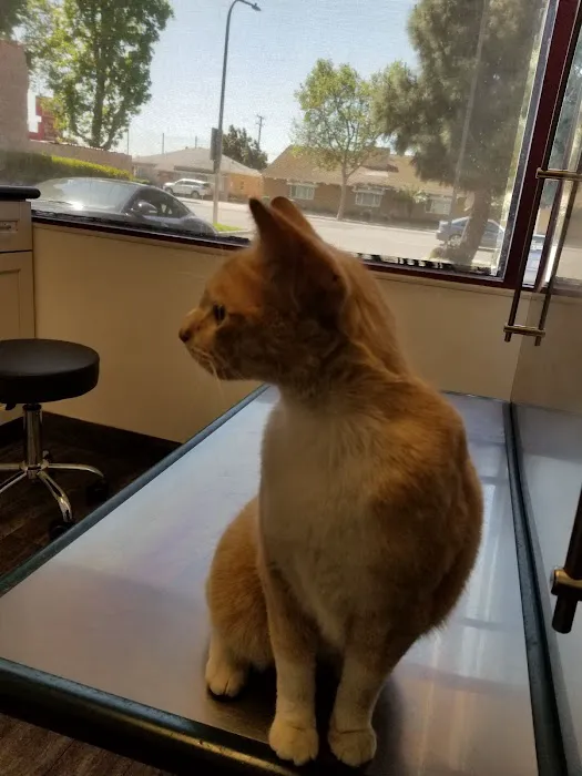 Alona Animal Hospital Picture 2