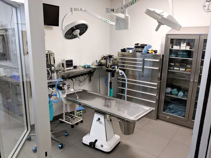Alona Animal Hospital Picture 9