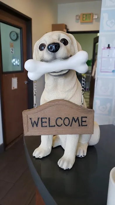 Bristol Memory Animal Clinic Picture 2