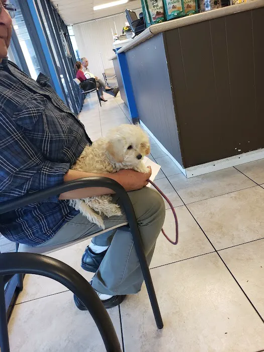 Animal Medical Center Picture 9
