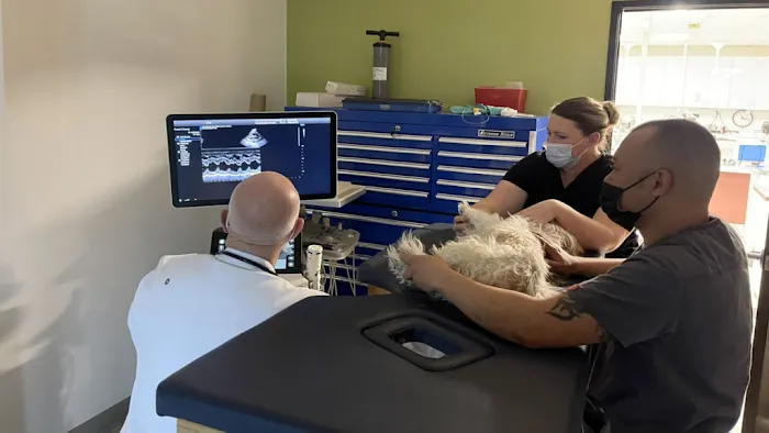 Animal Medical Center Picture 10