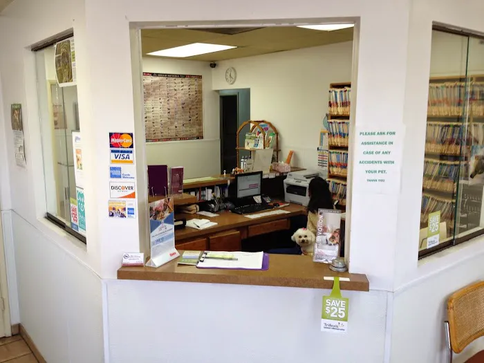Affordable Animal Hospital Picture 5