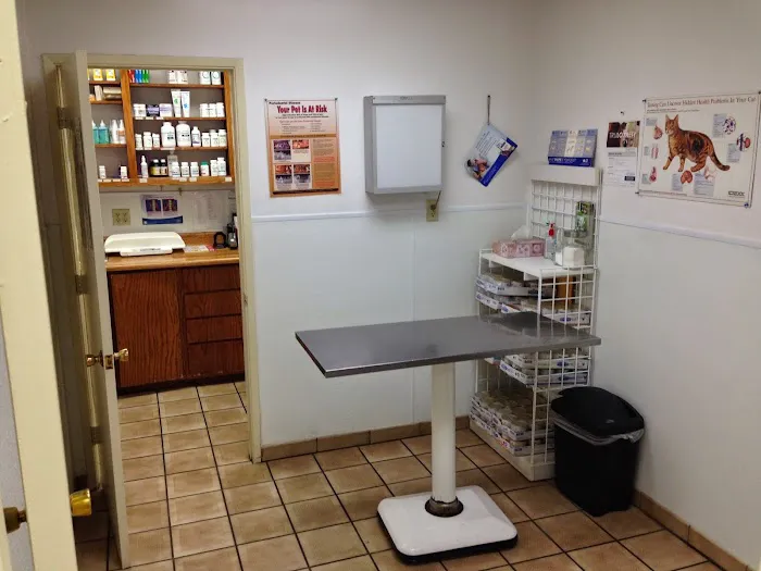Affordable Animal Hospital Picture 2