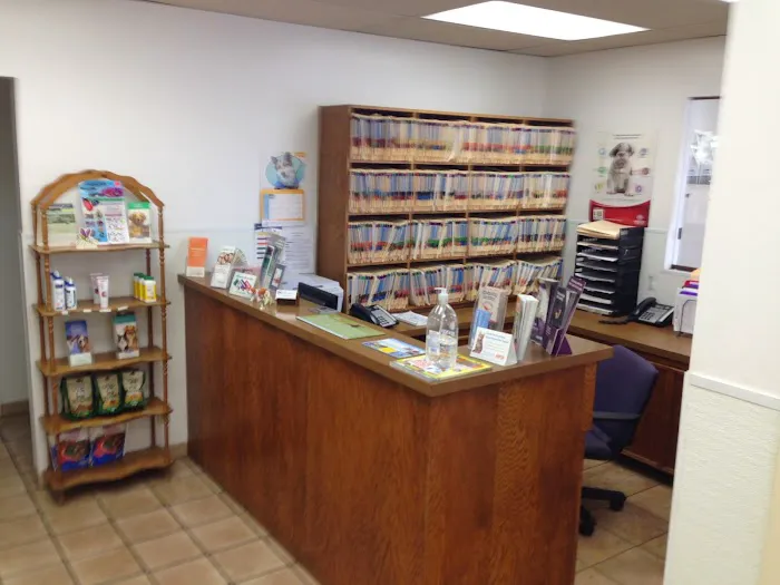 Affordable Animal Hospital Picture 8