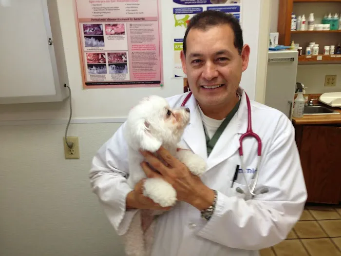 Affordable Animal Hospital Picture 9