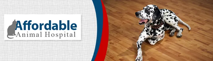 Affordable Animal Hospital Picture 10