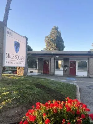Mile Square Animal Hospital Picture 3