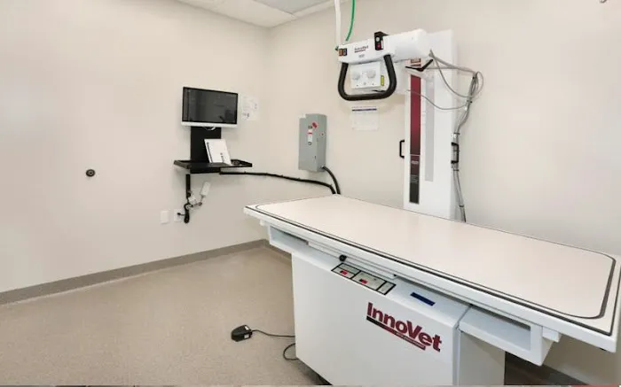 CASE Animal Hospital Picture 4