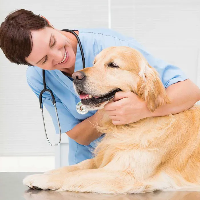 CASE Animal Hospital Picture 2