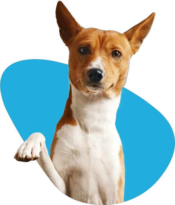 CASE Animal Hospital Picture 10