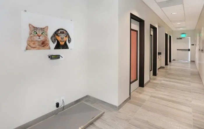 CASE Animal Hospital Picture 5