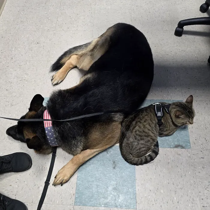 Pacific Animal Hospital Picture 2
