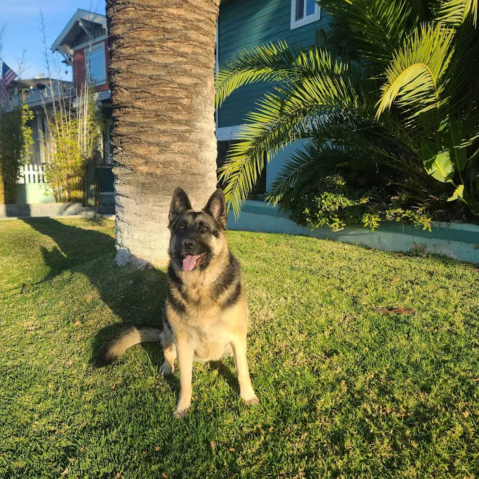 Pacific Animal Hospital Picture 7