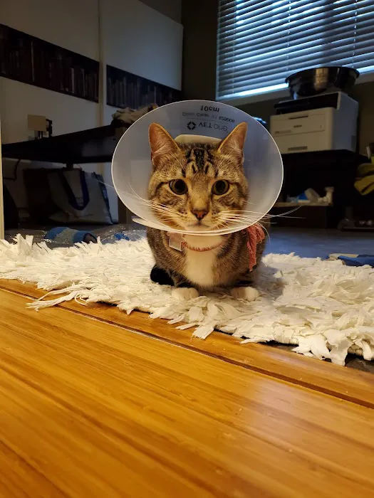 Pacific Animal Hospital Picture 10