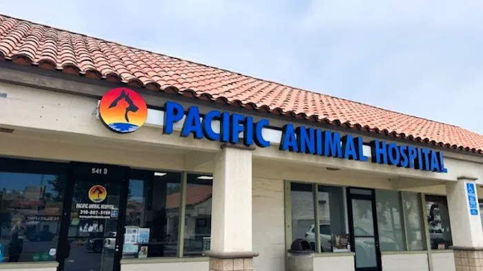 Pacific Animal Hospital Picture 8