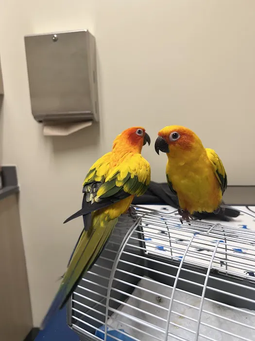 Vetco Total Care Animal Hospital Picture 8