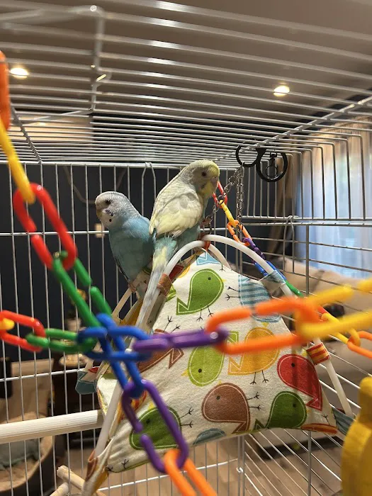 Vetco Total Care Animal Hospital Picture 6