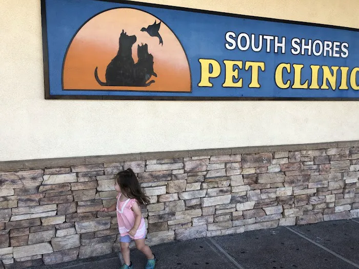 South Shores Pet Clinic Picture 9