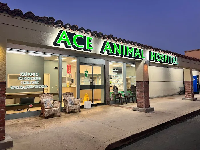 Ace Animal Hospital Picture 1