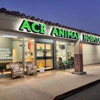 Ace Animal Hospital ico