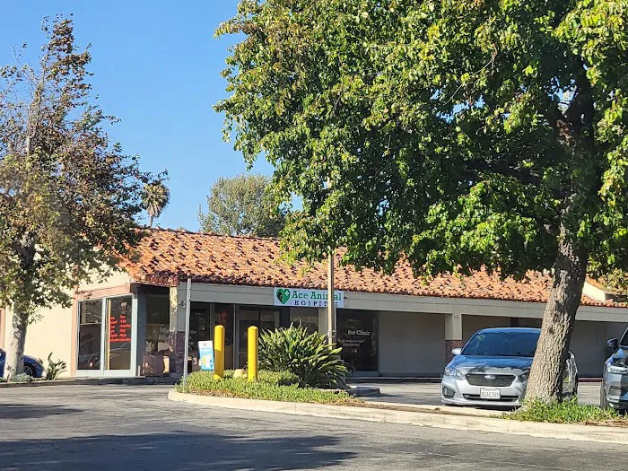 Ace Animal Hospital Picture 9