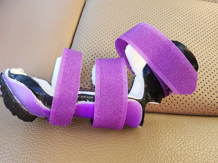 Pet Artificial Limbs & Supports Picture 8
