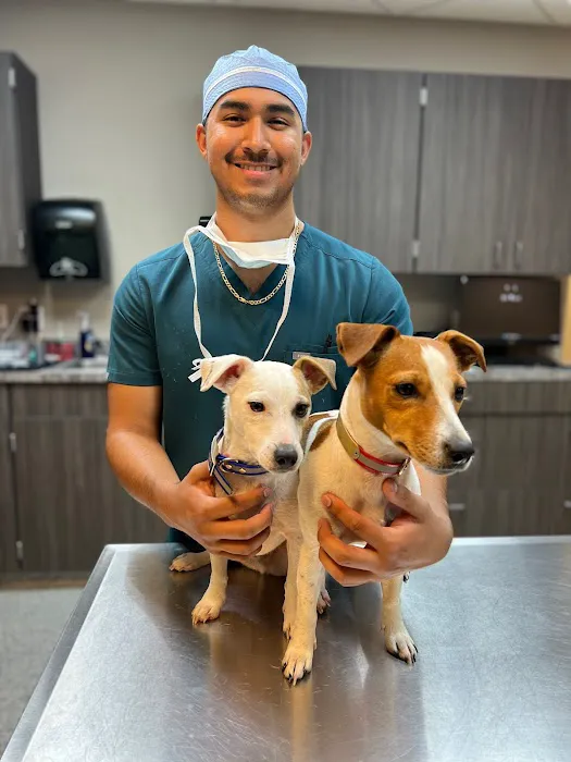H-Town Veterinary Specialists (Stafford) Picture 5