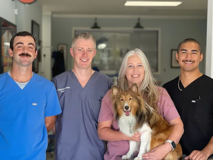 H-Town Veterinary Specialists (Stafford) Picture 10
