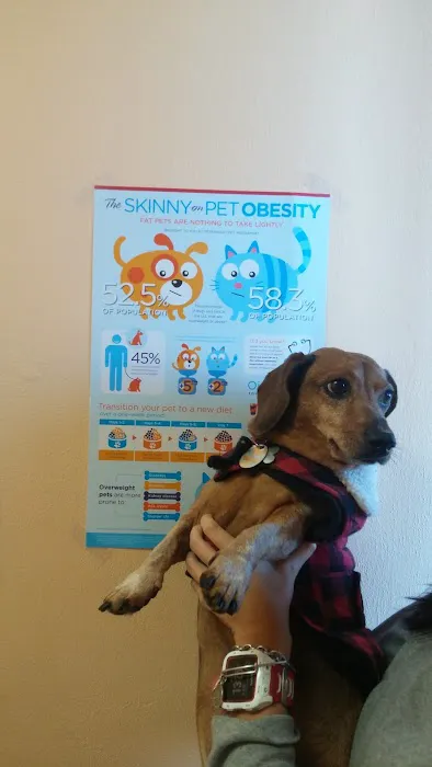 Economy Pet Clinic Picture 3