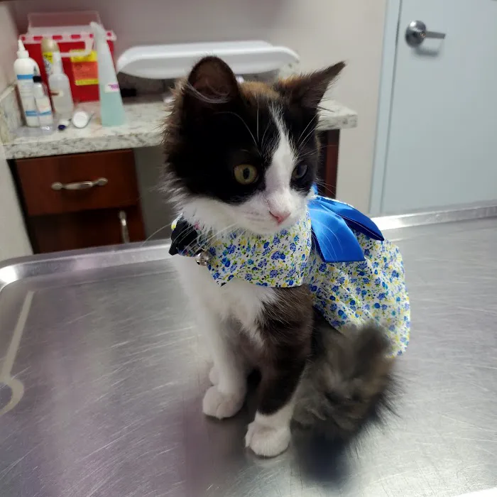 Economy Pet Clinic Picture 9