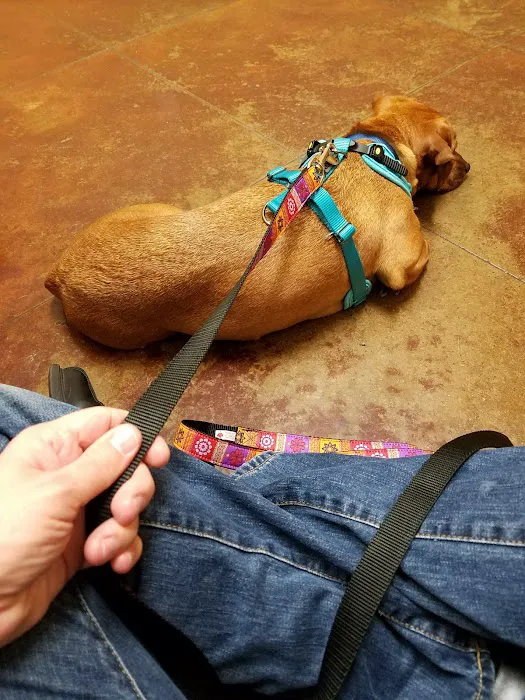 VCA Stafford Oaks Animal Hospital Picture 5