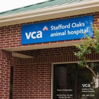 VCA Stafford Oaks Animal Hospital ico