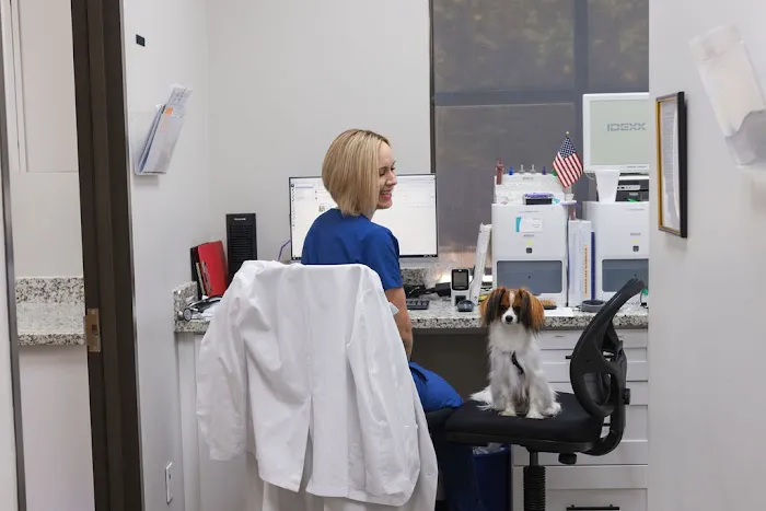 VCA Stafford Oaks Animal Hospital Picture 2