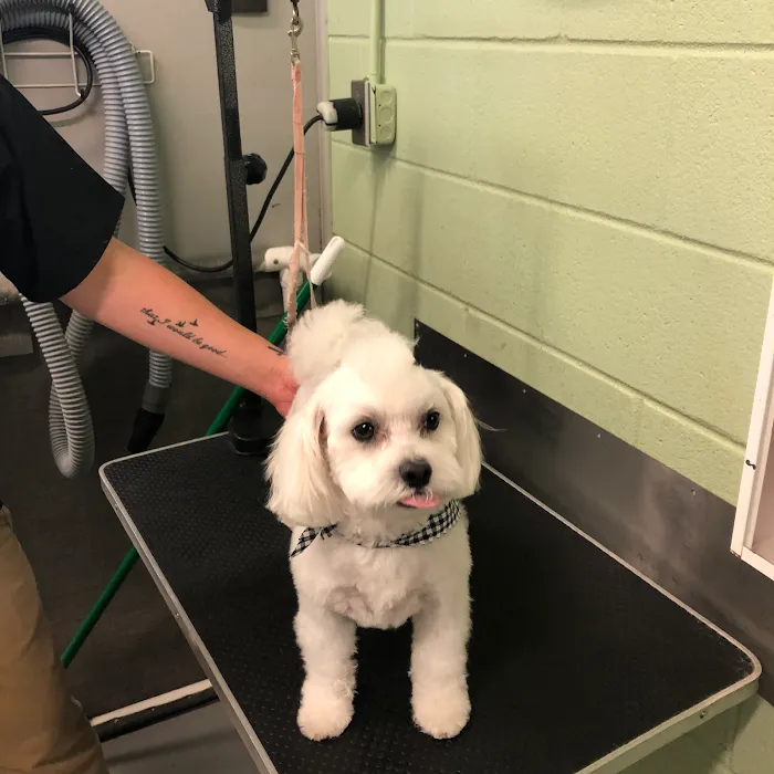 Critter Care Animal Hospital Picture 10