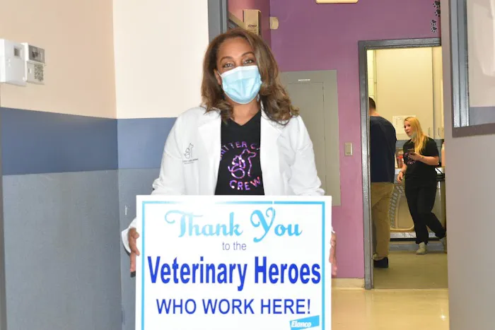 Critter Care Animal Hospital Picture 1