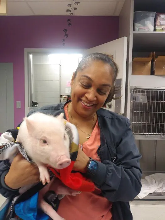 Critter Care Animal Hospital Picture 2