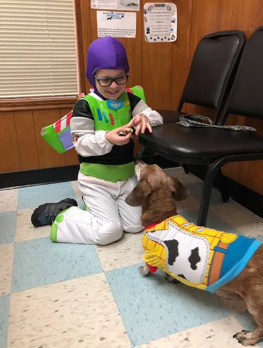 Sugar Creek Animal Clinic Picture 2
