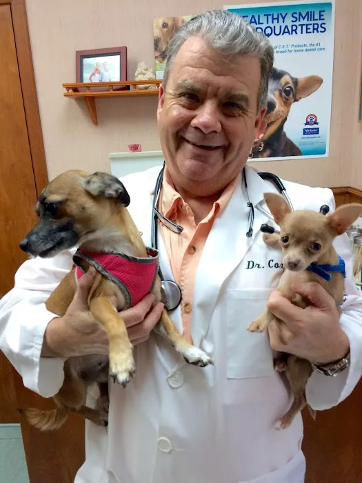 Sugar Creek Animal Clinic Picture 1