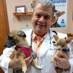 Sugar Creek Animal Clinic