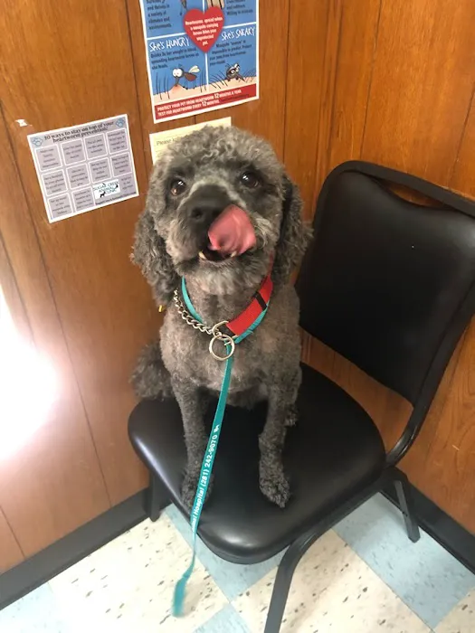 Sugar Creek Animal Clinic Picture 10