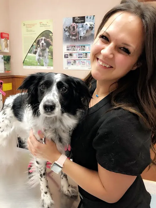 Sugar Creek Animal Clinic Picture 4